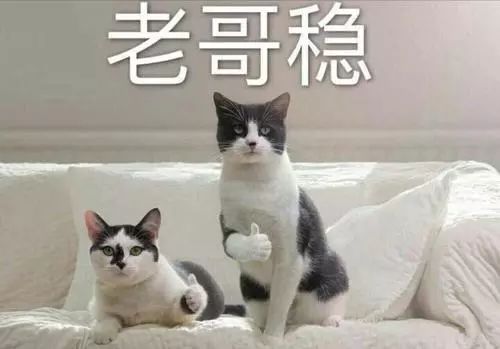 高效學(xué)習(xí)神器：千呼萬(wàn)喚的Anki教程！插圖