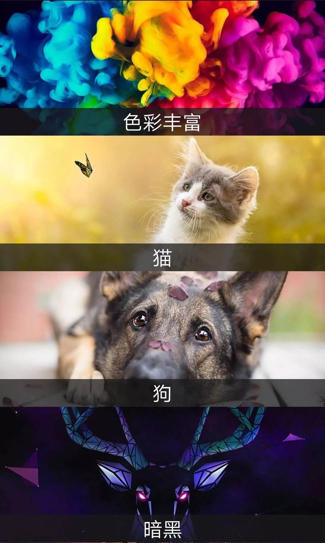 這個App竟然解鎖了18+VIP，請低調(diào)使用！插圖4