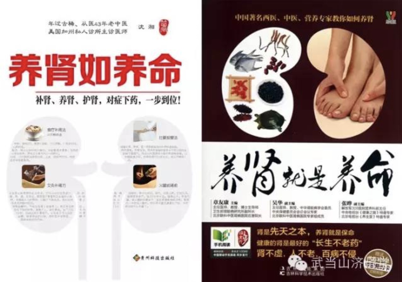 武當(dāng)山濟(jì)腎堂強腎七式 百度網(wǎng)盤插圖2