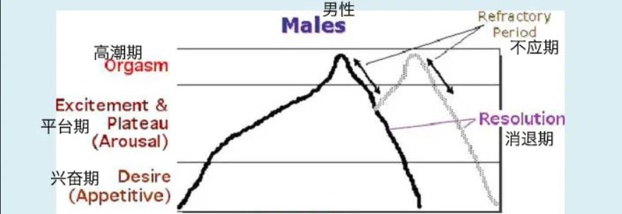令人迷惑的“賢者模式”，抽搐后索然無味插圖1