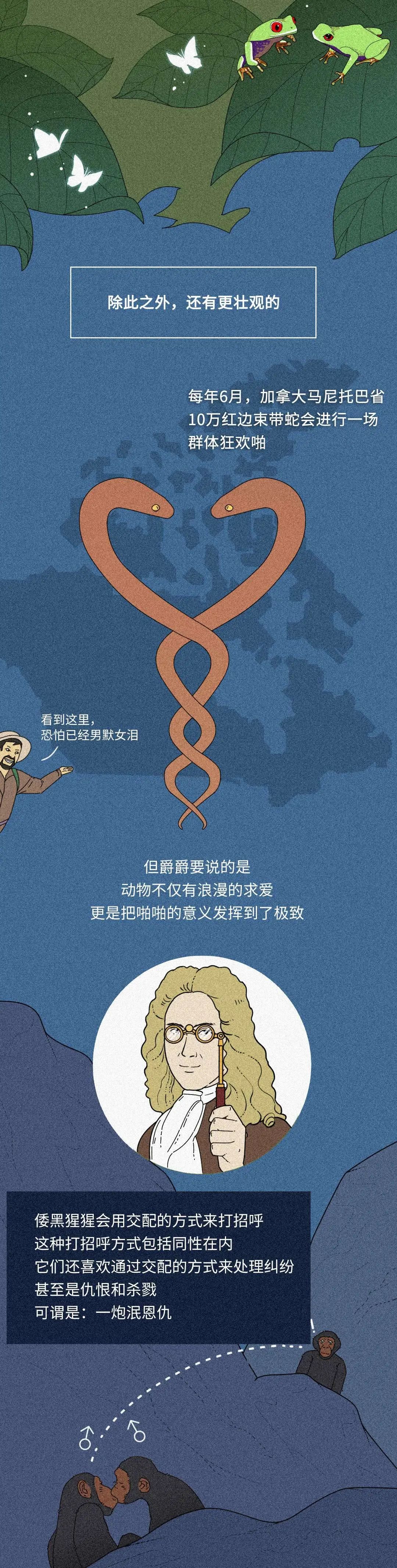 在性事上，人類差遠了！插圖6