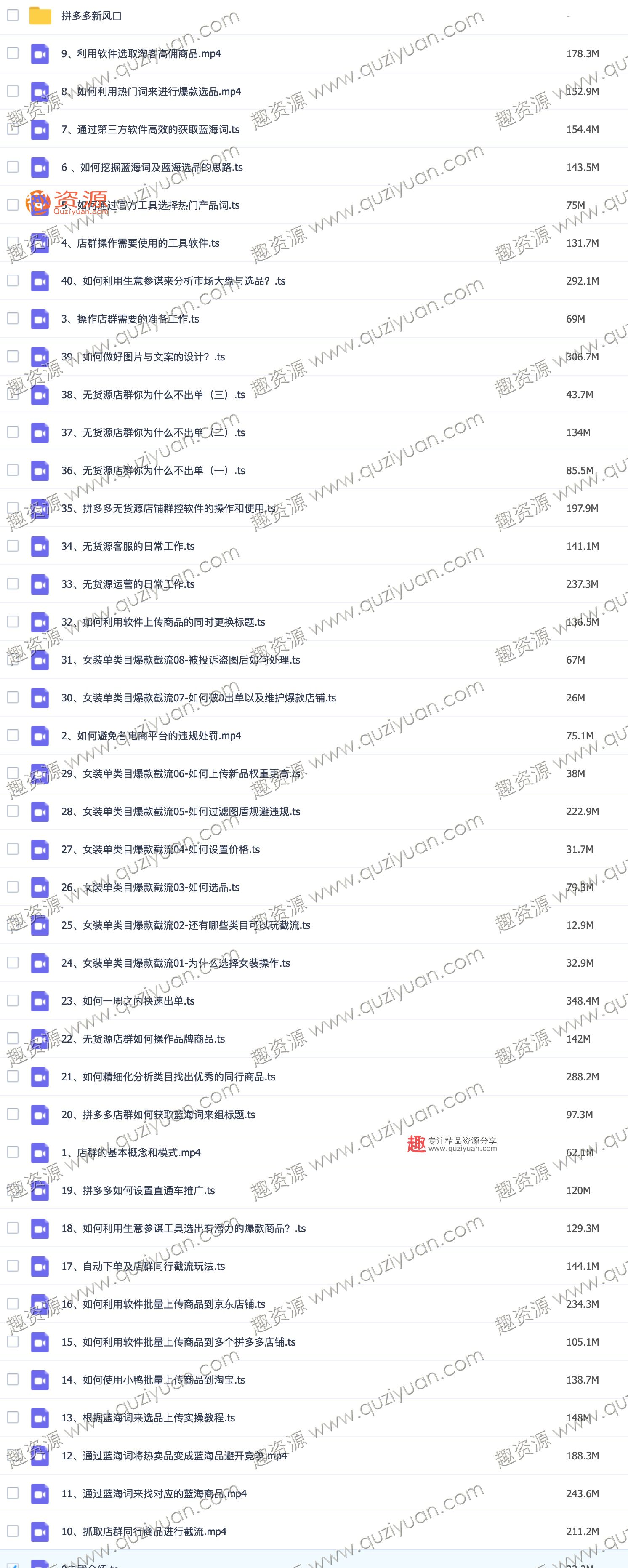 從0起步做無貨源店群一件代發(fā)實操玩法：新手快速進入電商領域（40節(jié)視頻） 百度網(wǎng)盤插圖