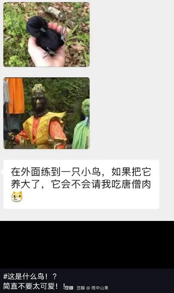這敞篷跑車的馬力一定很足！插圖19