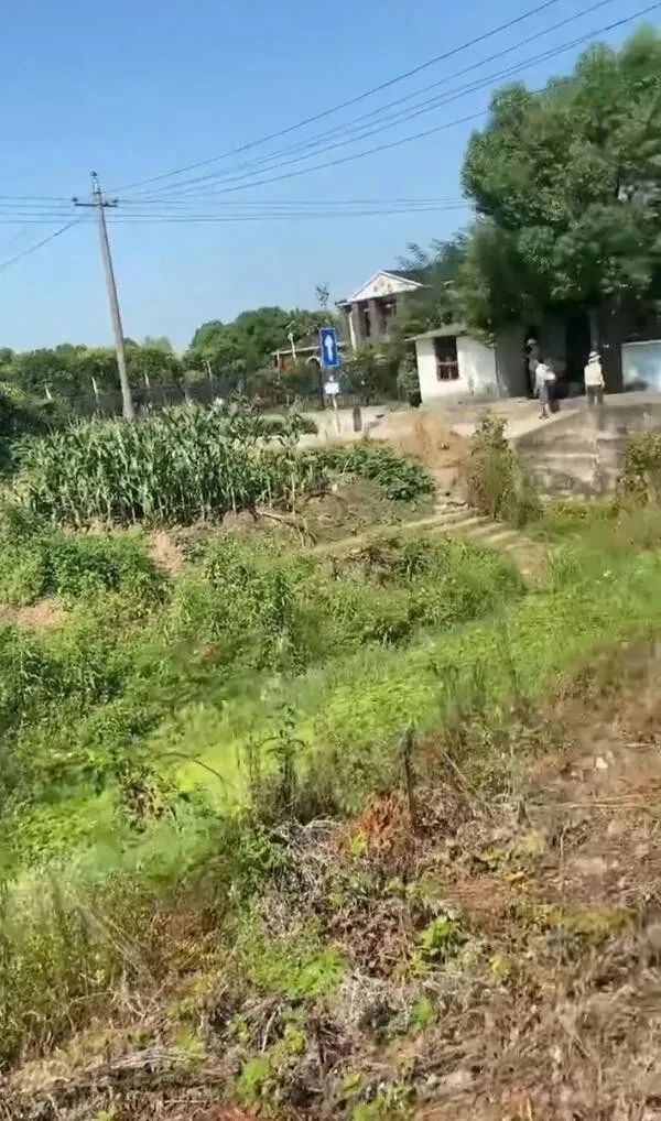 請問這是同一個人嗎？插圖31