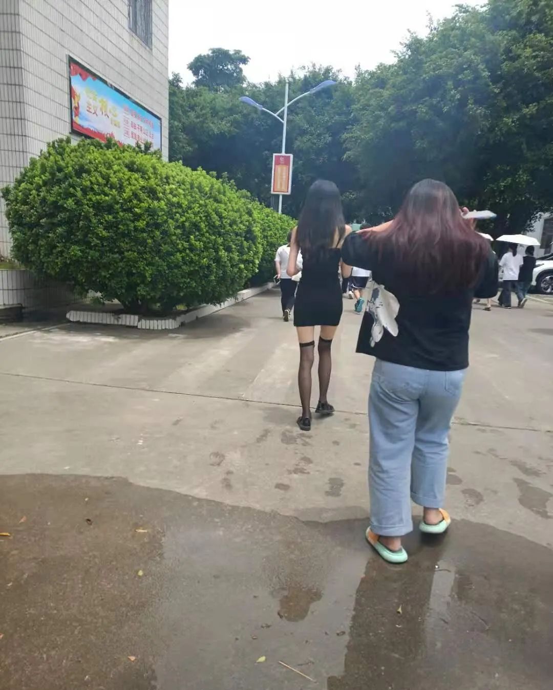 這么多老師有你認(rèn)識的？插圖7