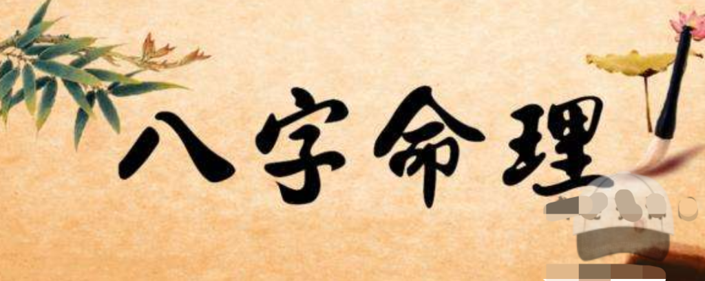 翁向宏子平八字命理 視頻+資料插圖 翁向宏子平八字命理 視頻+資料插圖