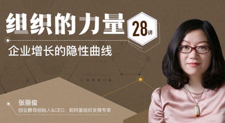 張麗俊組織的力量28講插圖 張麗俊組織的力量28講插圖