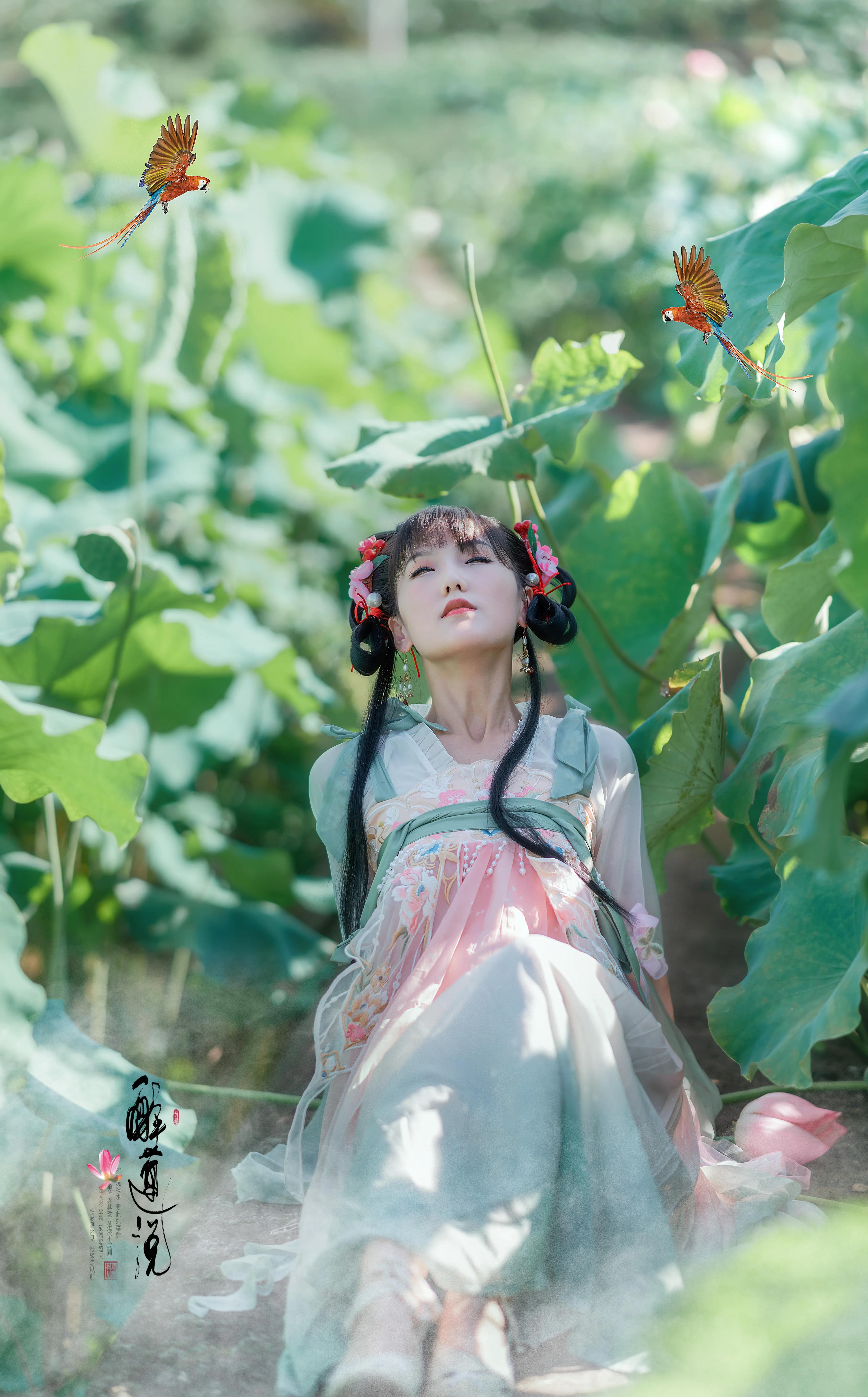 心醉迷，夢醉迷。葉鋪池，花開池。插圖7