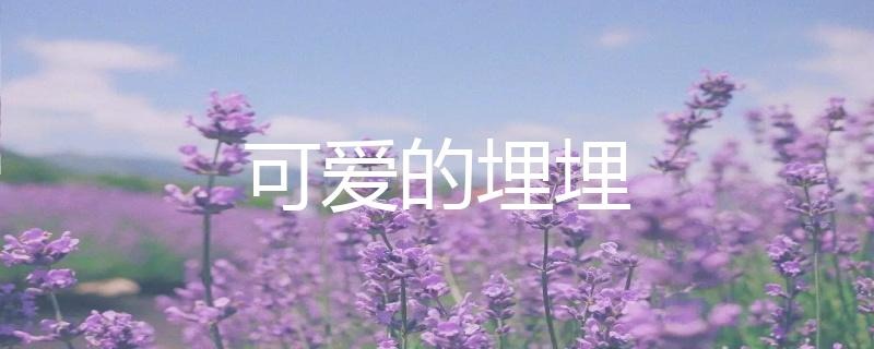 虎牙二次元聲控助眠主播可愛的埋埋人氣為什么這么高？插圖