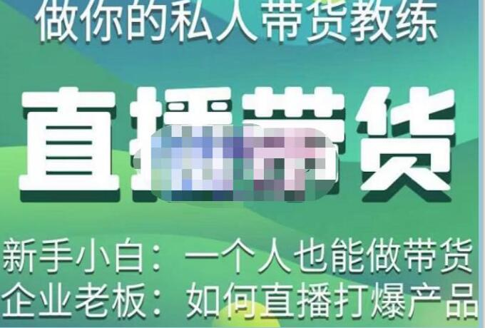 硬核傳媒?直播帶貨（私人教練），實(shí)操實(shí)戰(zhàn)教學(xué)百度網(wǎng)盤插圖