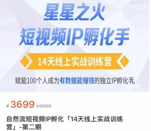 瑤瑤?自然流短視頻IP孵化第二期，成為有數(shù)據(jù)能賺錢(qián)的獨(dú)立IP孵化手百度網(wǎng)盤(pán)插圖