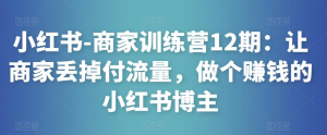 小紅書-商家訓練營12期：讓商家丟掉付流量，做賺錢小紅書博主百度網盤插圖