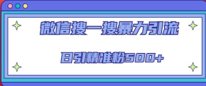 微信搜一搜引流全系列課程，日引精準(zhǔn)粉500+（8節(jié)課）百度網(wǎng)盤插圖