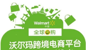 跨境電商沃爾瑪平臺-從0基礎(chǔ)到入門，沃爾瑪跨境紅利新玩法百度網(wǎng)盤插圖