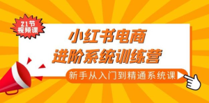 小紅書(shū)電商新手入門(mén)到精通實(shí)操課，從入門(mén)到精通做爆款筆記百度網(wǎng)盤(pán)插圖