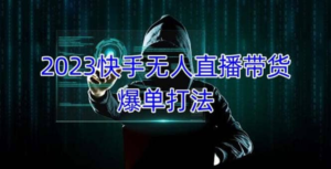 2023快手無(wú)人直播帶貨爆單教程，可批量放大操作百度網(wǎng)盤插圖