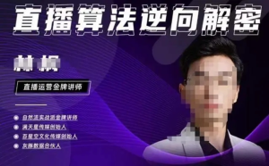 林楓?2023新課直播算法逆向解密，選品、建模、老號(hào)重啟、控流、羅盤(pán)分析百度網(wǎng)盤(pán)插圖