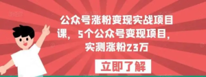 公眾號(hào)漲粉變現(xiàn)實(shí)戰(zhàn)項(xiàng)目課，5個(gè)公眾號(hào)變現(xiàn)，漲粉23萬百度網(wǎng)盤插圖