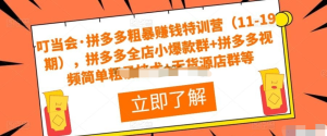 叮當(dāng)會(huì)?拼多多粗暴賺錢特訓(xùn)營(yíng)（11-19期），拼多多爆款群+拼多多視頻技術(shù)+無(wú)貨源店群插圖