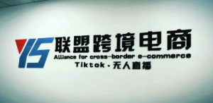 YS聯(lián)盟?Tiktok無(wú)人直播，不出鏡不剪輯不拍攝不發(fā)貨無(wú)售后的跨境短視頻插圖