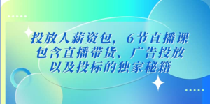 三里屯?投放人薪資包，6節(jié)直播課，直播帶貨、廣告投放獨家秘籍百度網(wǎng)盤插圖