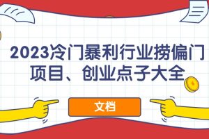 2023冷門暴利行業(yè)撈偏門項目、創(chuàng)業(yè)點子大全（文檔）百度網(wǎng)盤插圖