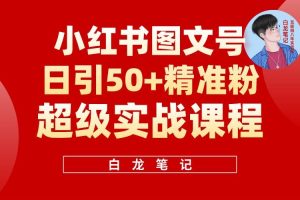 小紅書圖文號日引50+精準(zhǔn)流量，新手小白實(shí)戰(zhàn)的小紅書引流課百度網(wǎng)盤插圖