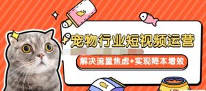 寵物/行業(yè)短視頻運(yùn)營(yíng)流量增長(zhǎng)，解決流量焦慮+實(shí)現(xiàn)降本增效百度網(wǎng)盤插圖