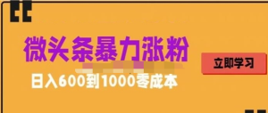 微頭條暴力漲粉技巧搬運(yùn)文案就能漲幾萬粉絲，0成本日賺600百度網(wǎng)盤插圖
