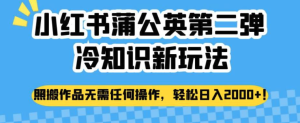 小紅書(shū)蒲公英冷知識(shí)新玩法，照搬作品賺錢(qián)副業(yè)百度網(wǎng)盤(pán)插圖