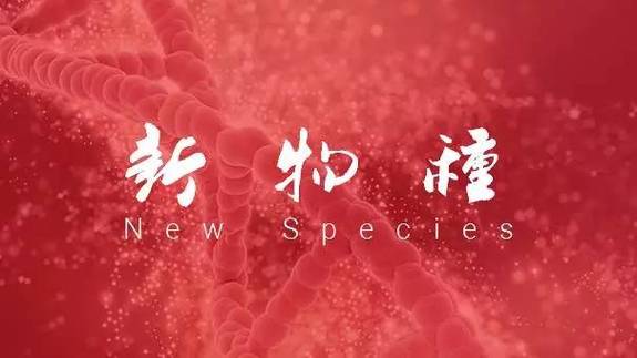 如何通過公眾號協(xié)作建立個人IP?插圖 如何通過公眾號協(xié)作建立個人IP?插圖