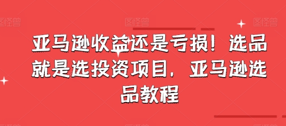 亞馬遜收益還是虧損！選品就是選投資項(xiàng)目，亞馬遜選品教程插圖