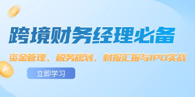 跨境財(cái)務(wù)經(jīng)理必備：資金管理、稅務(wù)規(guī)劃、財(cái)報(bào)匯報(bào)與IPO實(shí)戰(zhàn)插圖