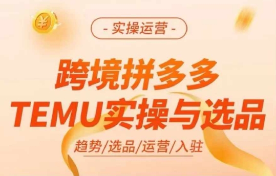 跨境拼多多TEMU實(shí)操與選品，多多temu跨境選品運(yùn)營(yíng)實(shí)操插圖