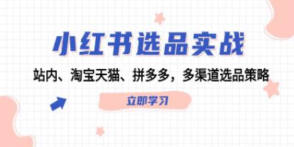 《小紅書選品實(shí)戰(zhàn)》站內(nèi)、淘寶天貓、拼多多，多渠道選品策略插圖