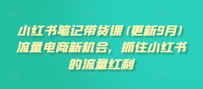 小紅書筆記帶貨課(更新9月)流量電商新機(jī)會，抓住小紅書的流量紅利插圖