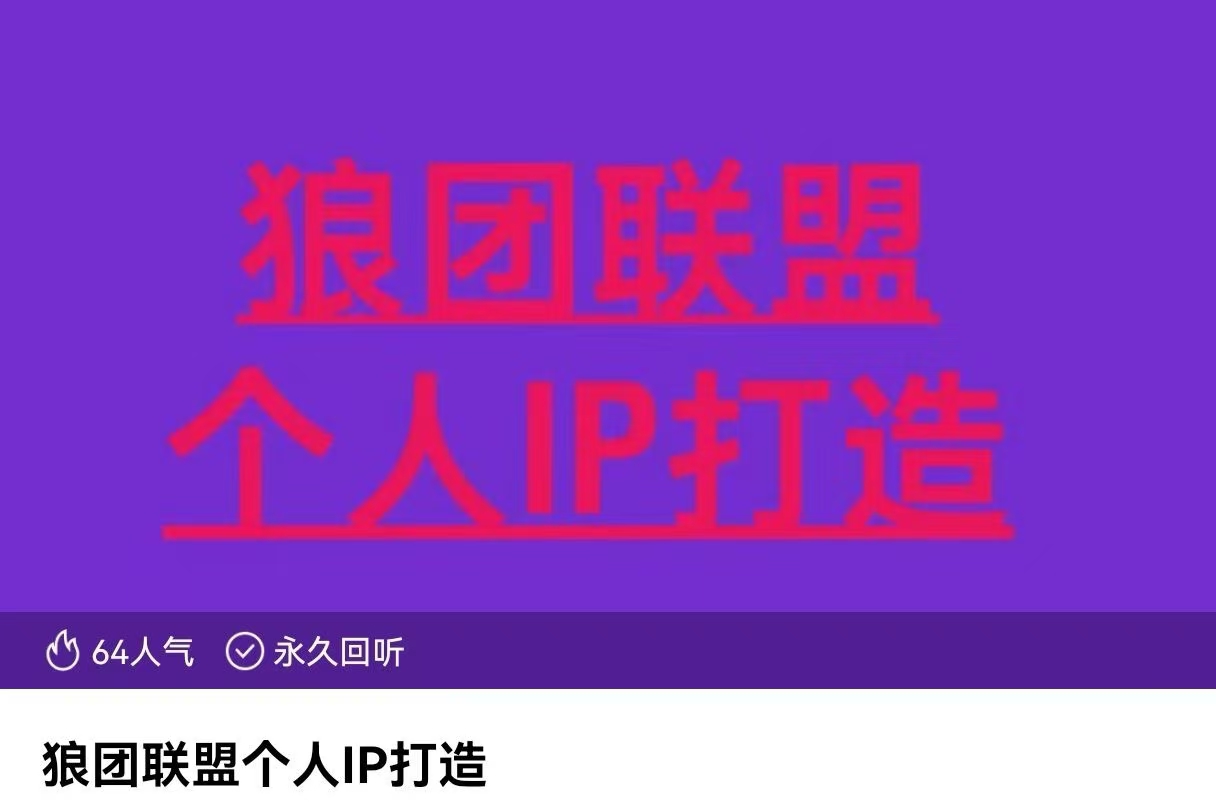 狼團(tuán)聯(lián)盟個(gè)人IP打造，個(gè)人IP變現(xiàn)全攻略：私域運(yùn)營(yíng),微信技巧,公眾號(hào)運(yùn)營(yíng)插圖