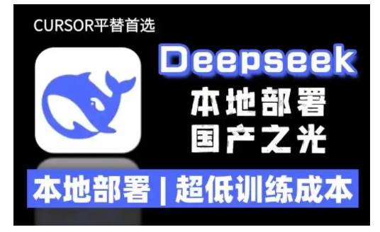 2025年deepseek R1 大型模型本地安裝部署(文件+教程)本地部署，超低訓(xùn)練成本插圖